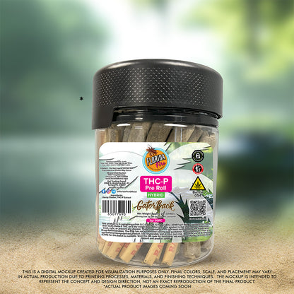 Florida Fire Preroll 2X 2g (50 in Jar) [Case of 10]